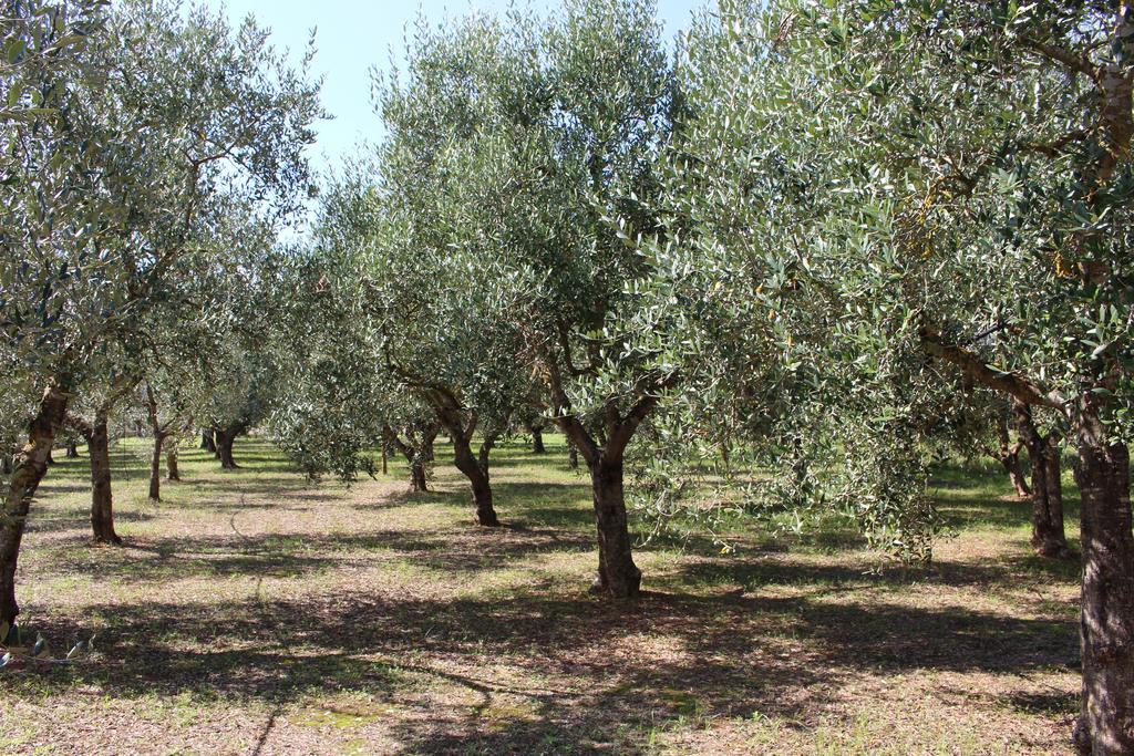 B&B La Gazza Ladra Carmiano  Bagian luar foto