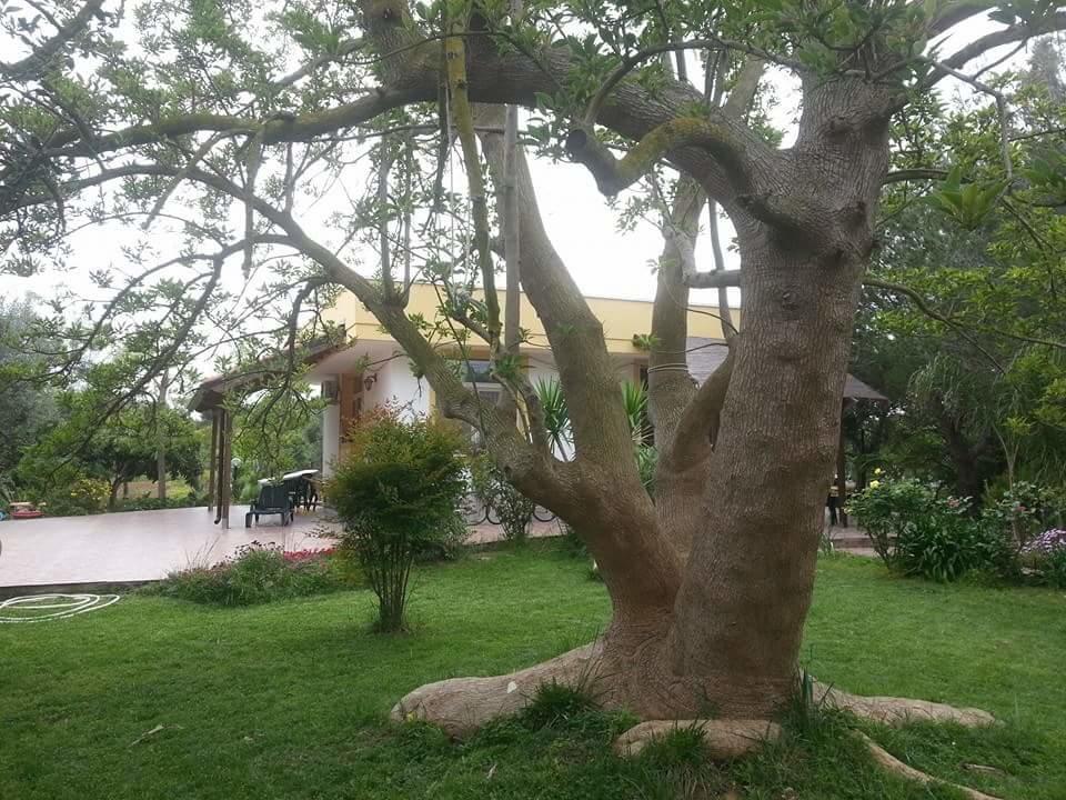 B&B La Gazza Ladra Carmiano  Bagian luar foto
